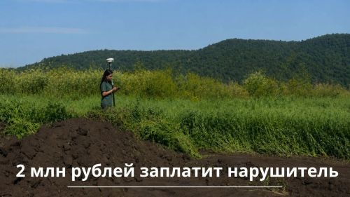 Элметре хиртен тăпра турттарнăшăн штраф панă