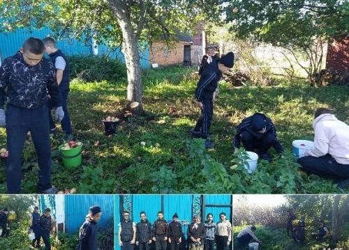 Тимуровецсем ялти ватă çынсене пулăшаççӗ