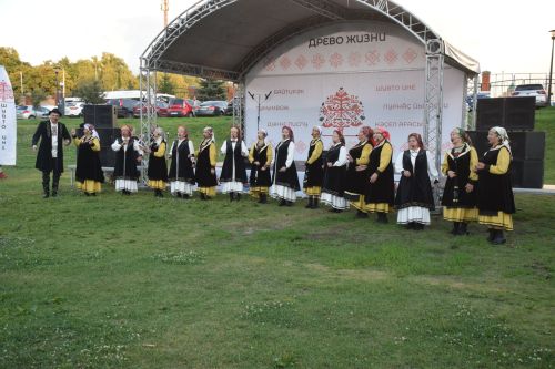 Пурнăç йывăççи (Древо жизни). 06.08.2025