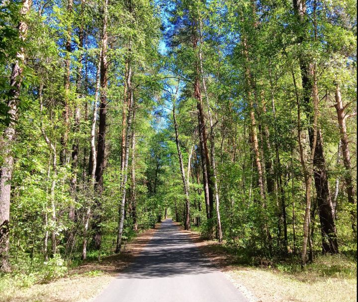 Вăрмана кӗме юрамасть