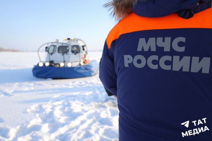 Тутарстанра аташса кайнă пулăçа вилӗмрен хăтарнă