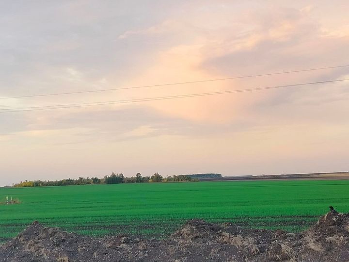 Ытларикун асăрхануллă пулмалла