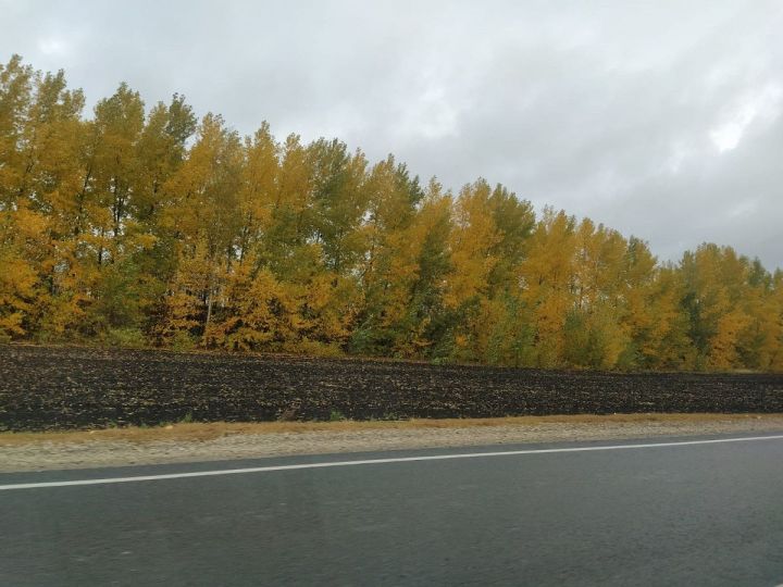 Халăх календарĕ