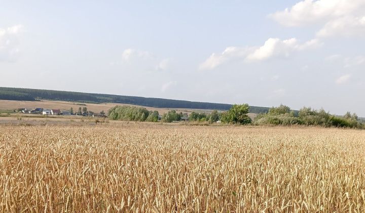 Килес çул тухăç пулмасть-ши?