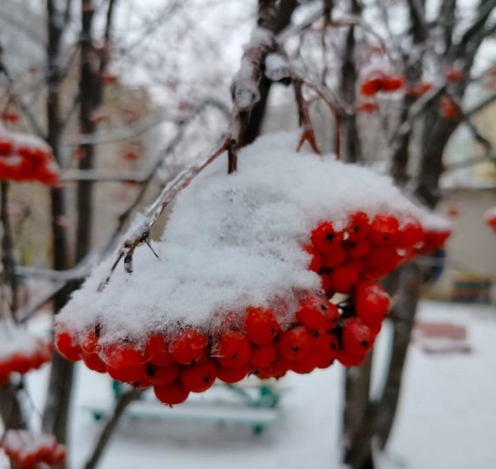 Эрнелӗх гороскоп