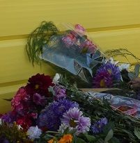 КОЛЯ ПИРӖНПЕ ЮНАШАР…