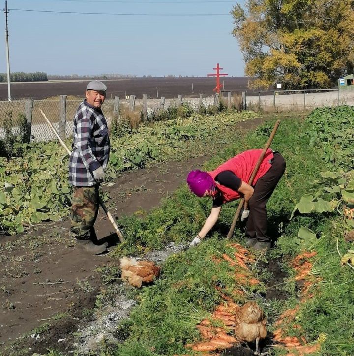 Халăх календарӗ