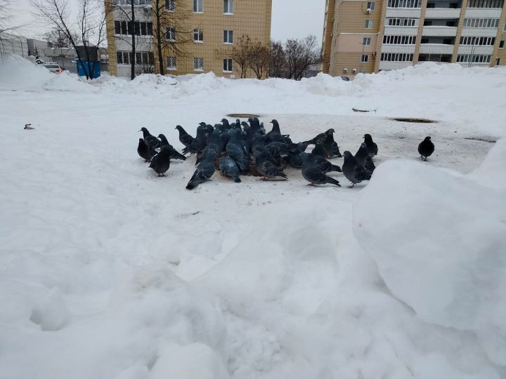 Халăх календарĕ