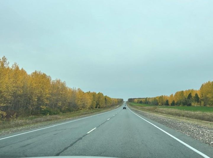 Ку эрнере паллашнă çынсемпе туслăх нумая пырать