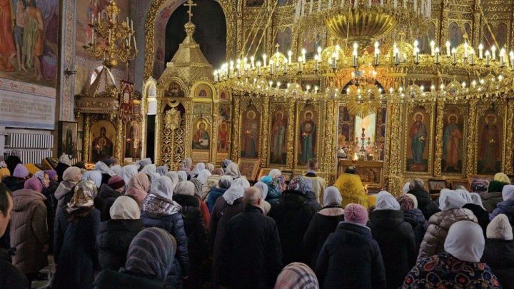 «Шурă тутăрсем» акци