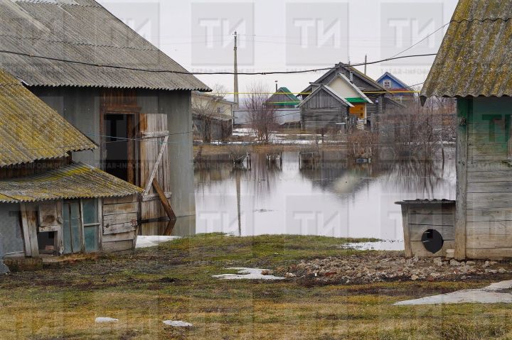 Тутарстанра ейӳ кайма пуçласан 200 ытла яла шыв илме пултарать