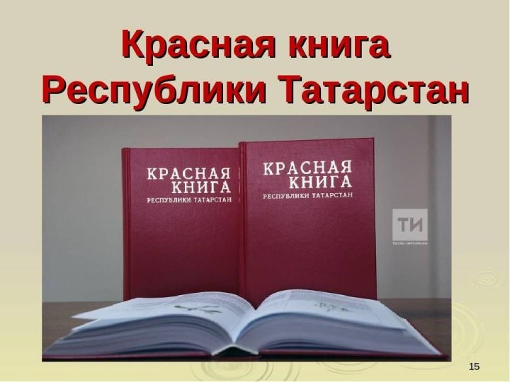 Утаман тек Хӗрлӗ кӗнекере мар
