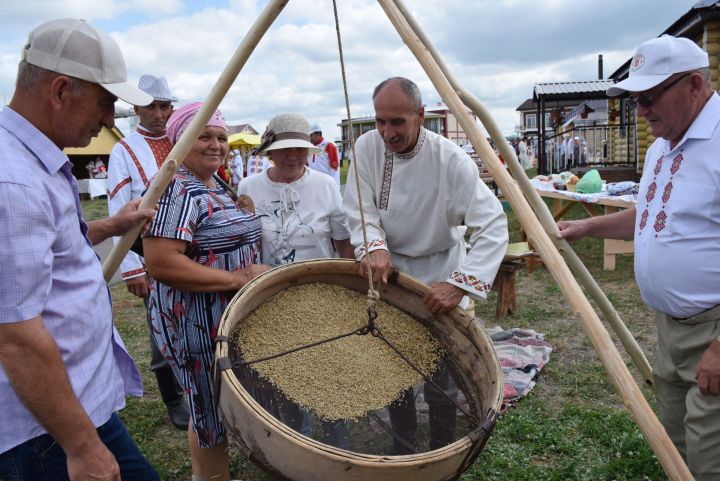 Сиктĕрмере виççĕмĕш хут республика уявĕ иртрĕ