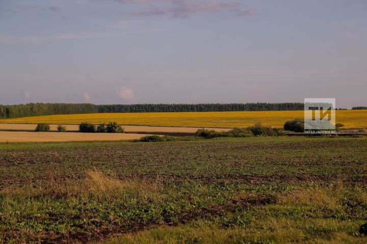 Атня тырра вырса пӗтерчӗ