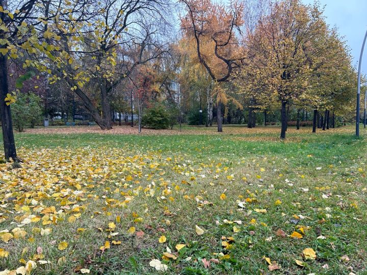 Эрнелӗх гороскоп