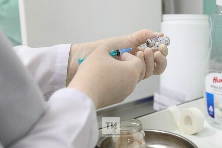 Чирлекенсен шучӗ ӳсет