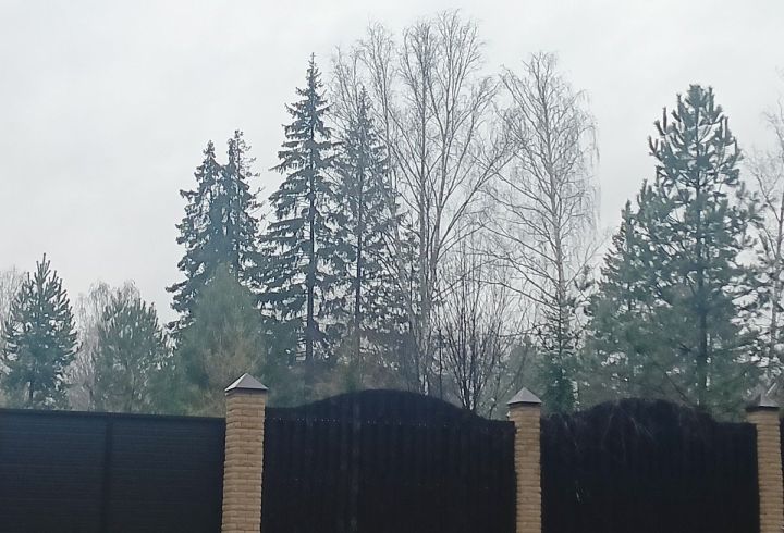 Декабрӗн 15-мӗшӗнчен Тутарстанра «Чăрăш» операци пуçланать