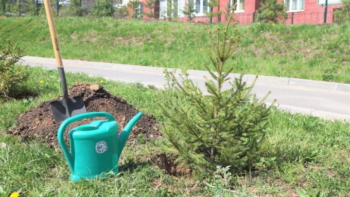 «Астăвăм сачӗ» акци иртет