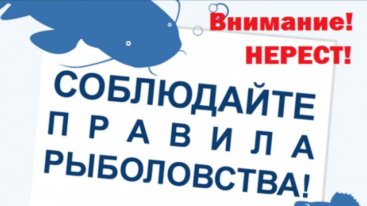 Тутарстанра пулă тытма чарнă