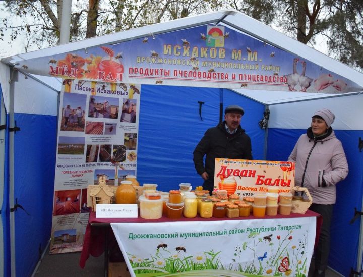 Хушма хуçалăхсене пулăшасси патшалăх политики шайӗнче