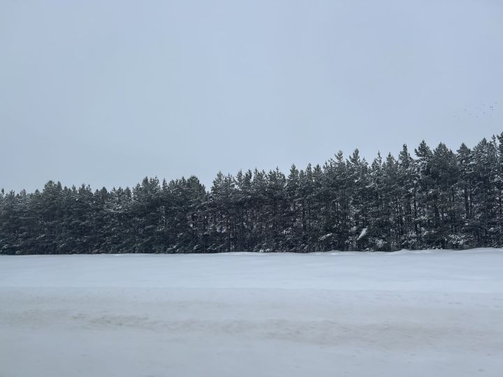 Паян юр çусан çулла çумăрлă пулать