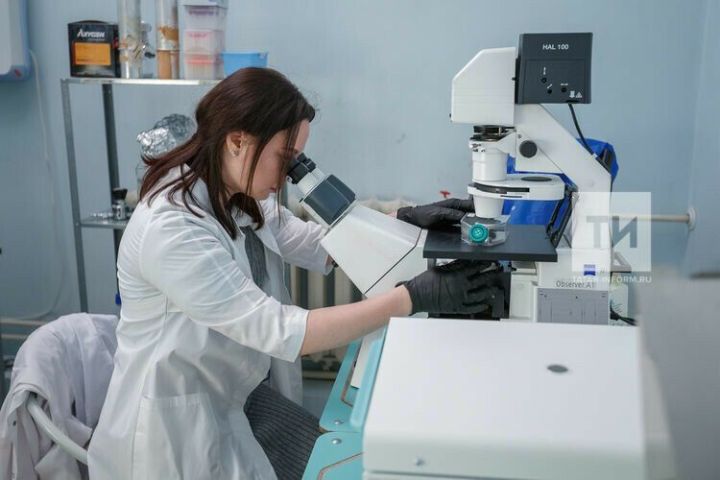 Хусан ученăйӗсем ватăлассине чаракан мелсем шыраççӗ