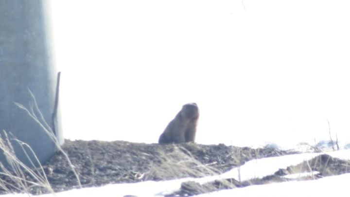 Тутарстанра сăвăрсем вăраннă