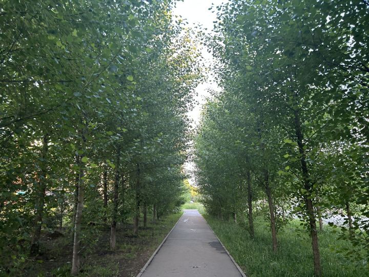 Ку эрнере кулленхи ӗçсене урăхларах йӗркелеме тивет.
