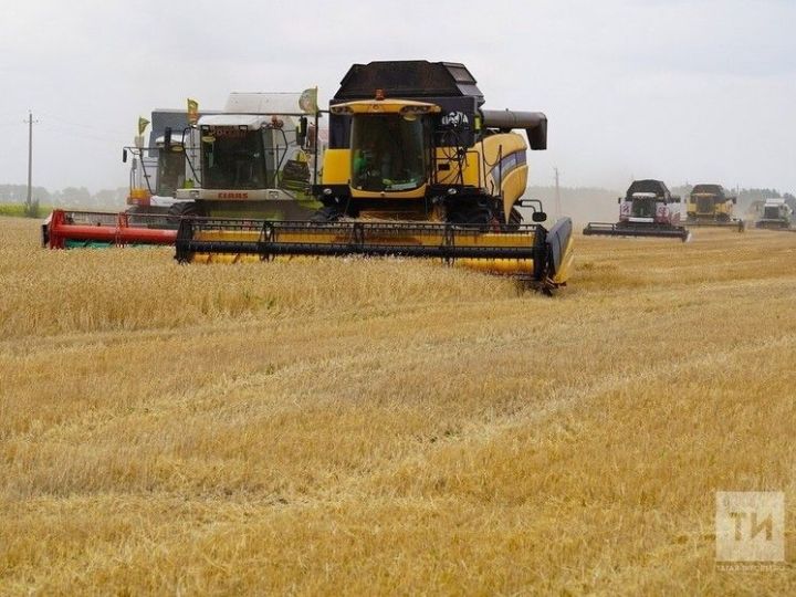 Республикăра вырма пуçланчӗ