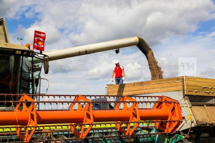 В Татарстане собрано более двух миллионов тонн зерна нового урожая